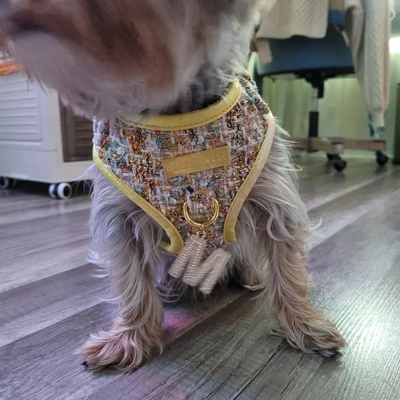 Maggie & Co Limited Edition Icon Collection Harness
